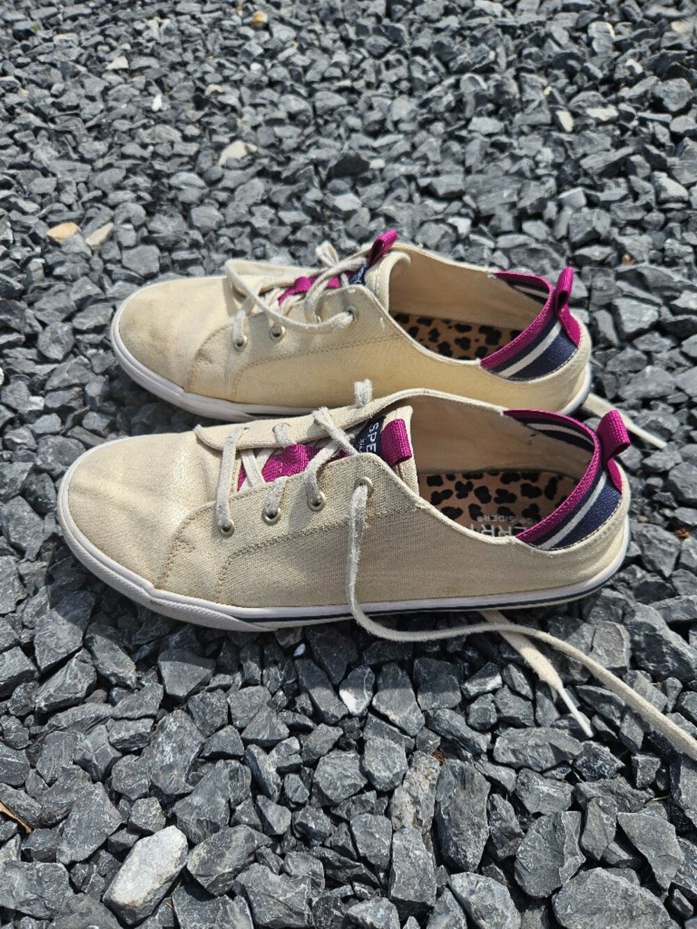 Sperry Shoes